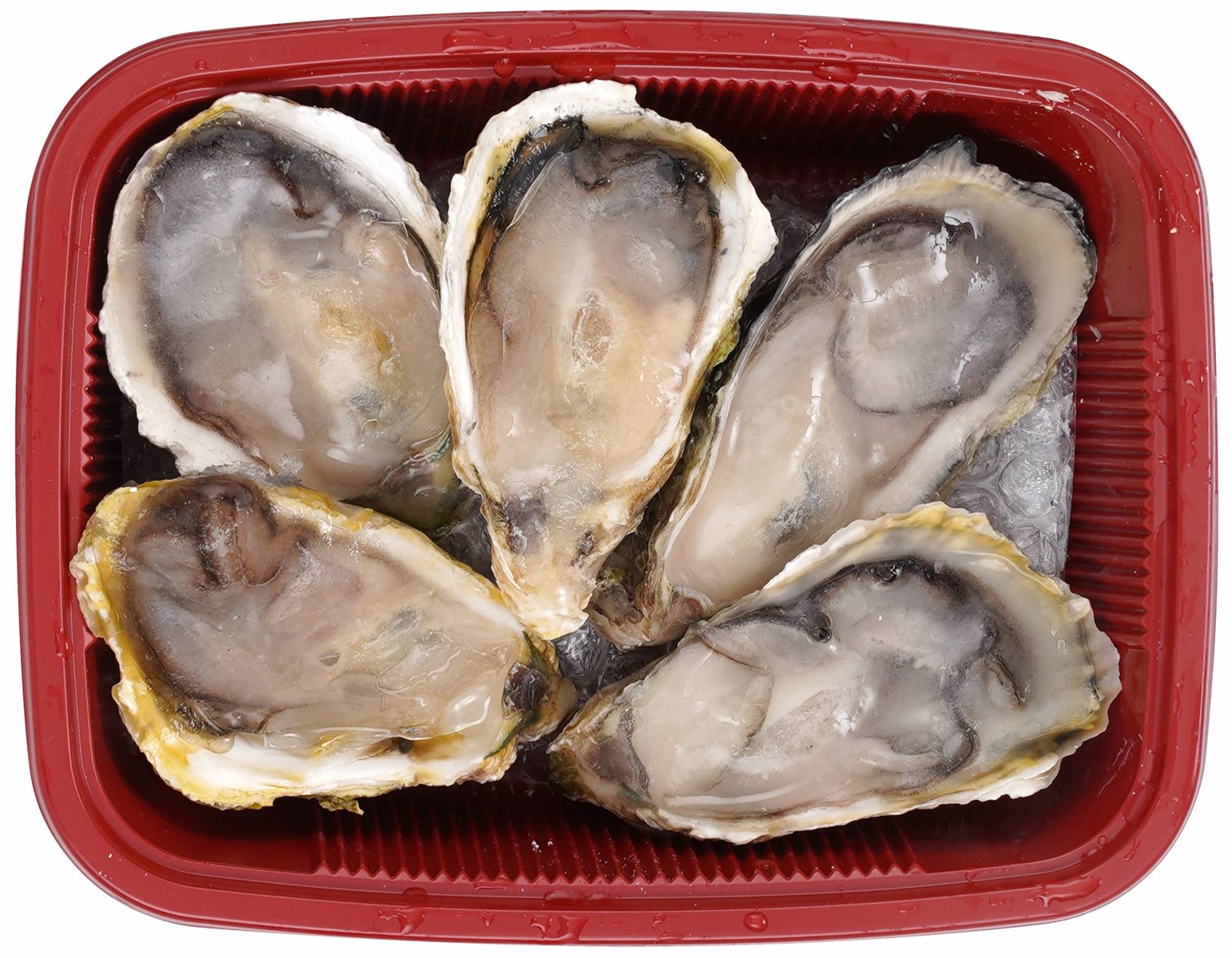 PK Frozen Half Shell Oyster 5pcs